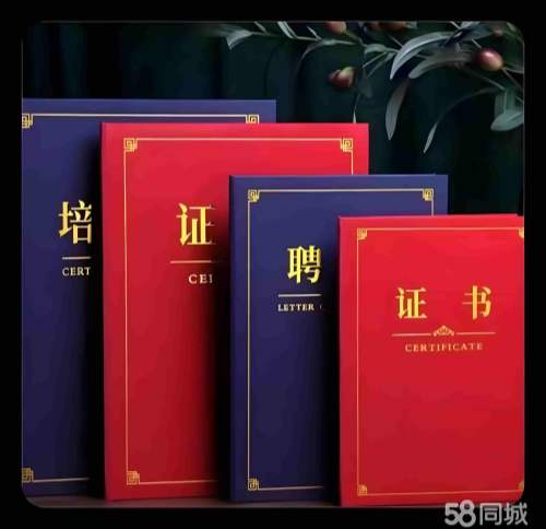 高中文凭制作：传统印刷 vs 数字定制，哪个更靠谱？我拆了5个案例